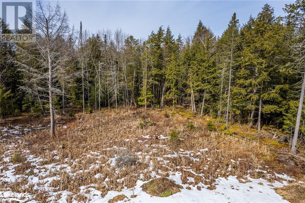 For sale PART LOT 4, Utterson, Ontario P0B1M0 40552674 REALTOR.ca