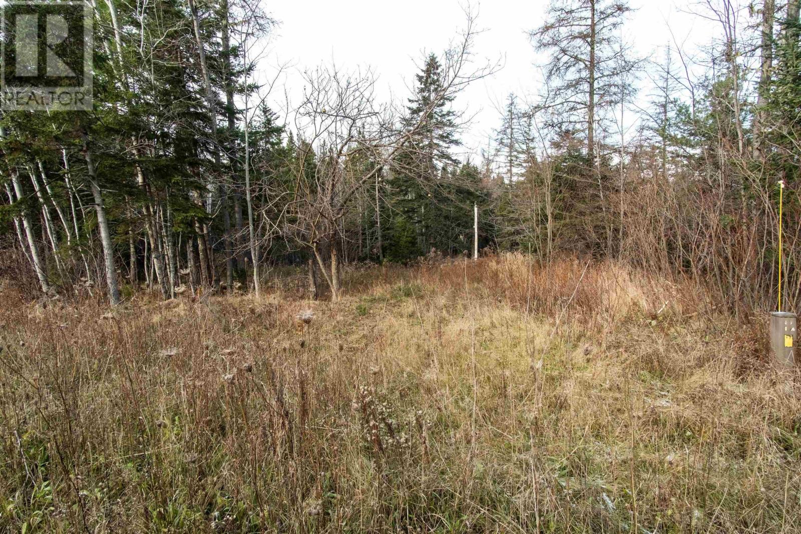 For sale 2301 Southside River Denys Road, Valley Mills, Nova Scotia