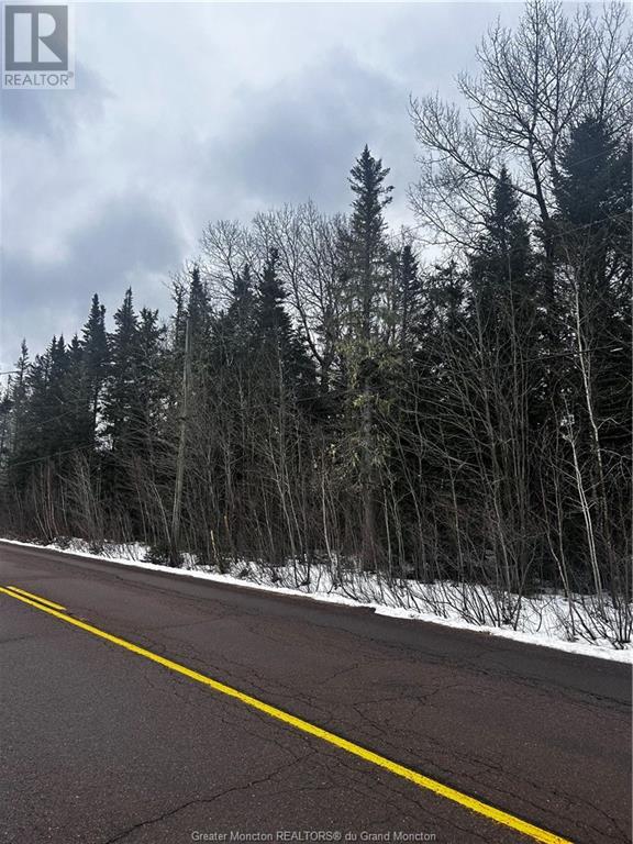 For sale 515 Route 515, SaintPaul, New Brunswick E4T3R1 M157986 REALTOR.ca