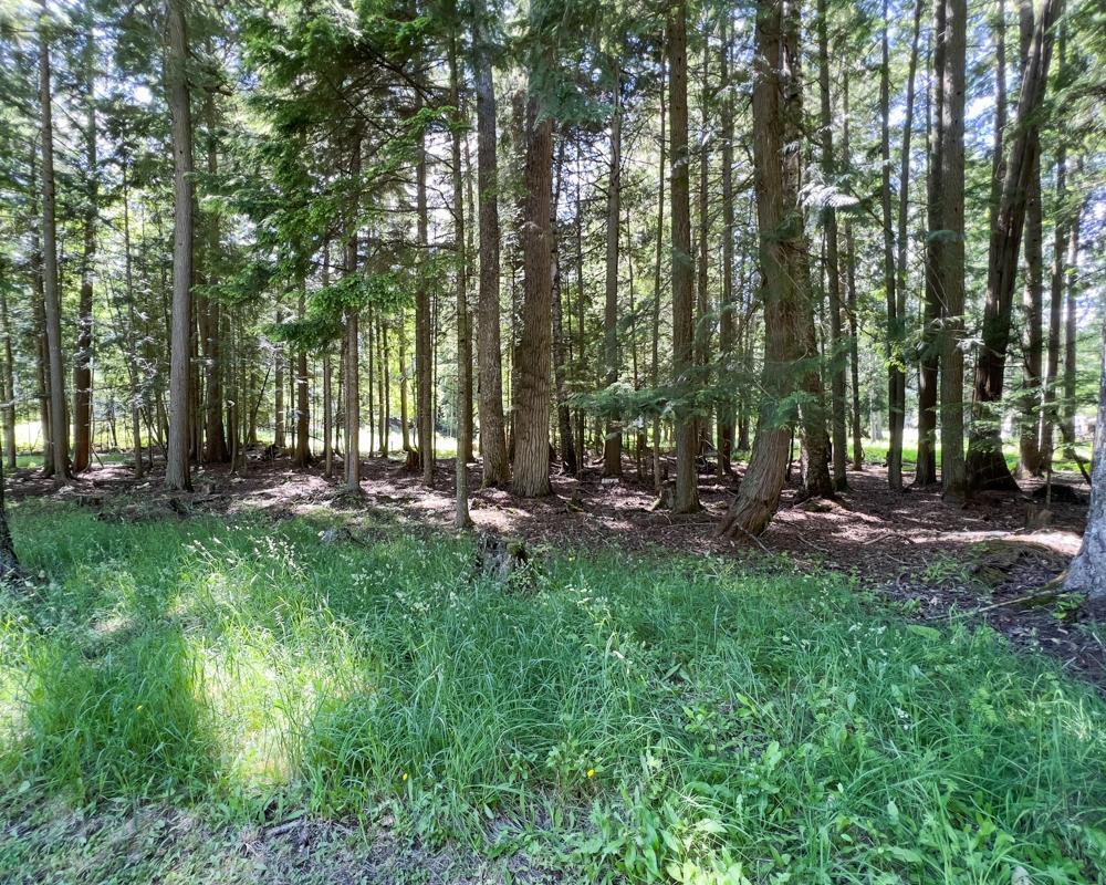 For sale 13304 13308 HIGHWAY 31, Meadow Creek, British Columbia