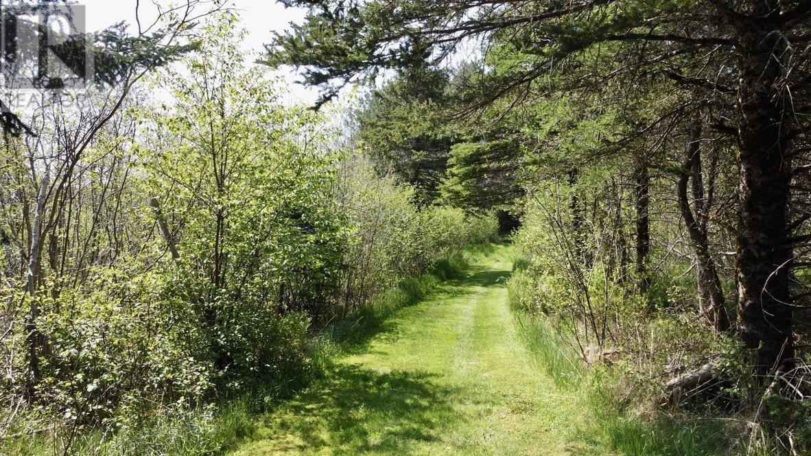 424 Penny Road, Upper Northfield, Nova Scotia B4V5B2 REALTOR.ca