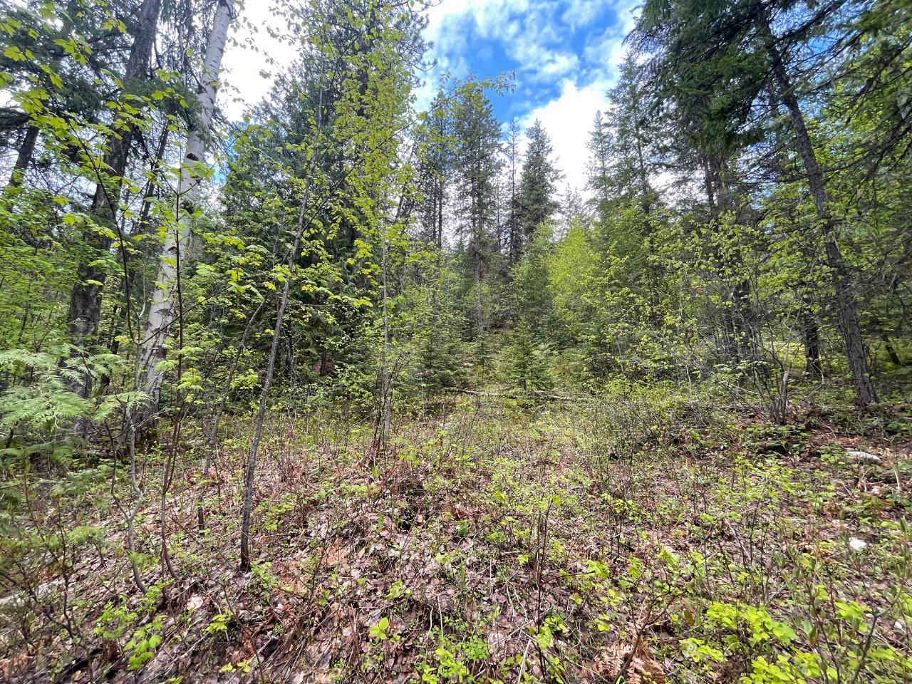 For sale Lot 1 LANGILL ROAD, Krestova, British Columbia V0G1H0