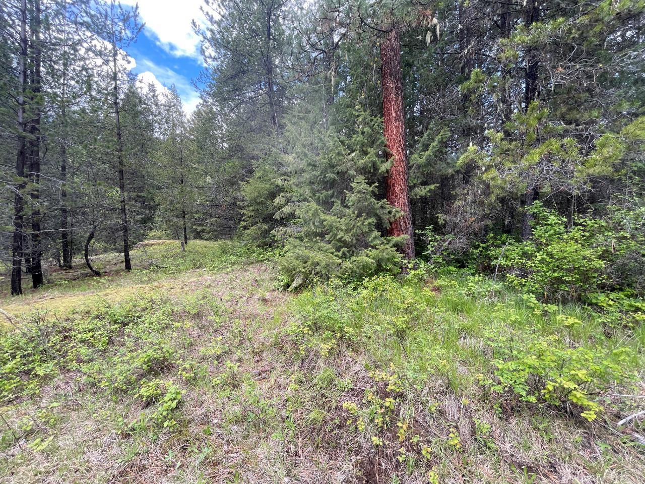 For sale Lot 1 LANGILL ROAD, Krestova, British Columbia V0G1H0