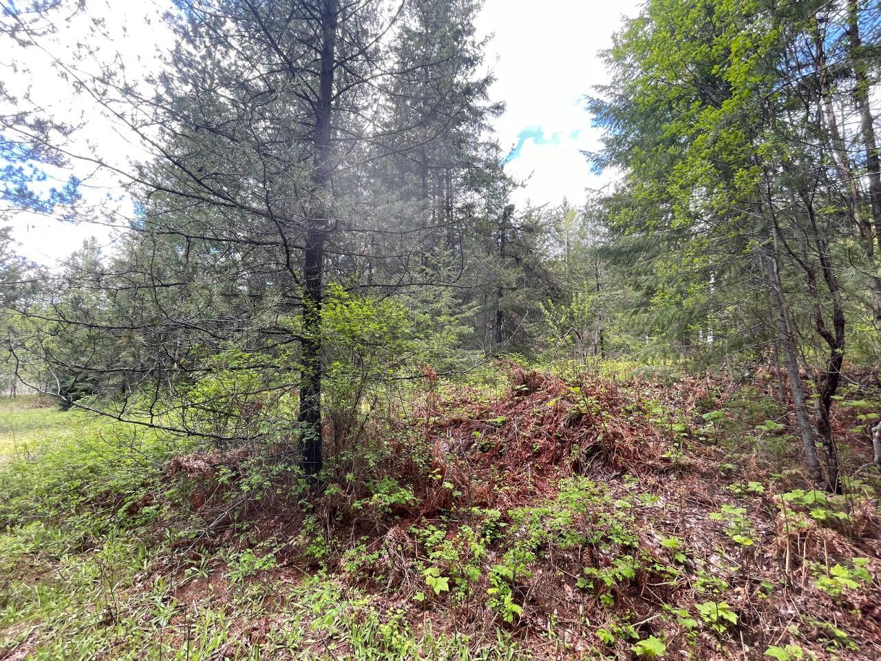 For sale Lot 1 LANGILL ROAD, Krestova, British Columbia V0G1H0
