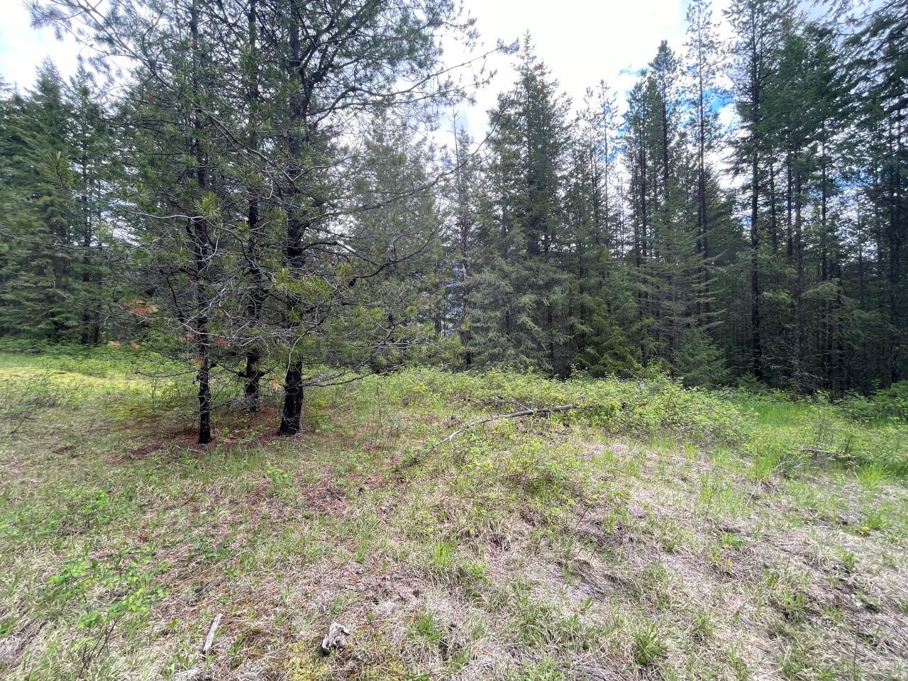 Land For Sale Krestova at Nickole Key blog