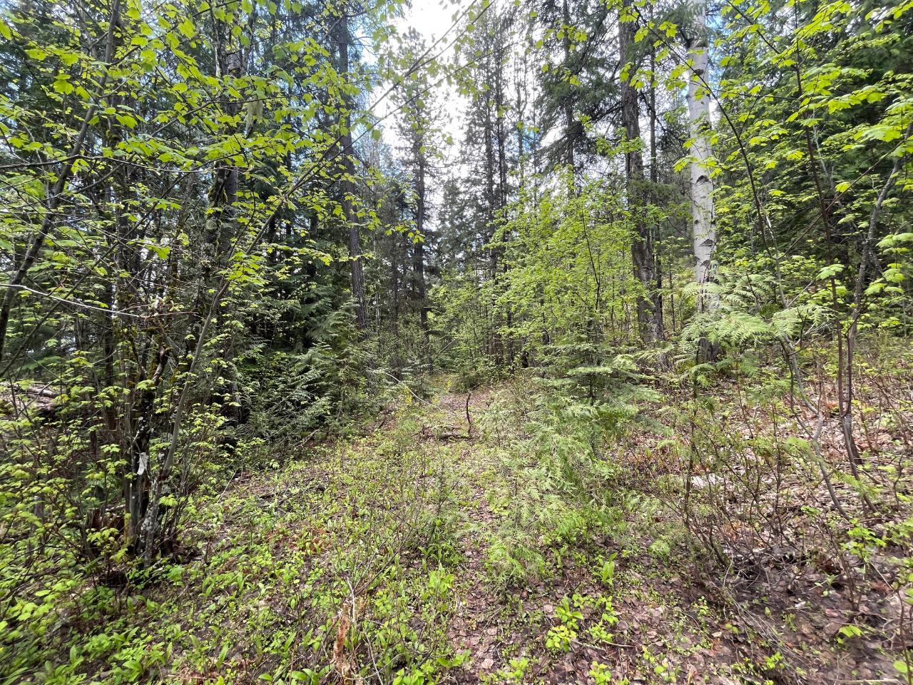For sale Lot 1 LANGILL ROAD, Krestova, British Columbia V0G1H0