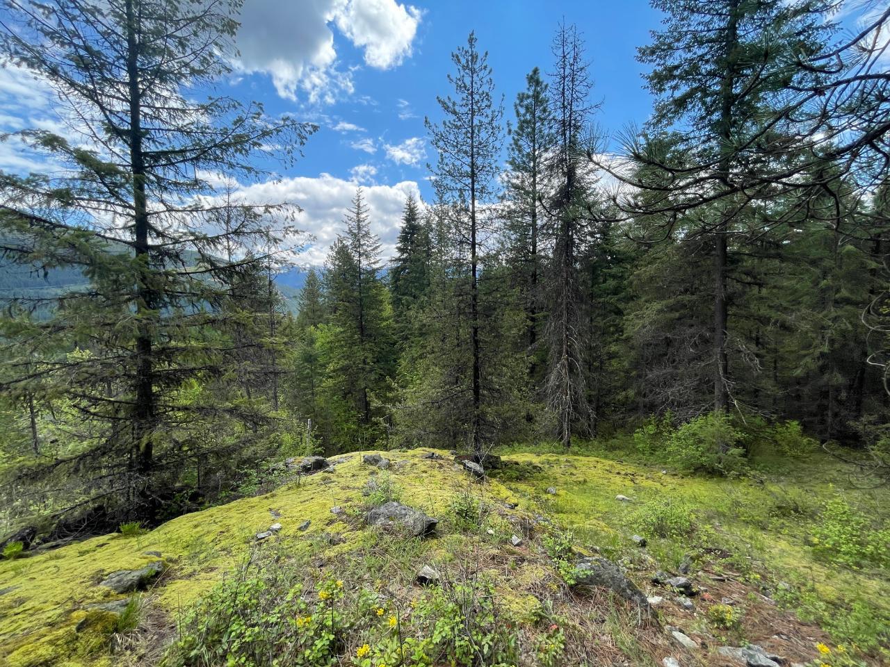 For sale Lot 1 LANGILL ROAD, Krestova, British Columbia V0G1H0