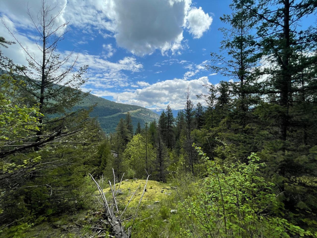 For sale Lot 1 LANGILL ROAD, Krestova, British Columbia V0G1H0