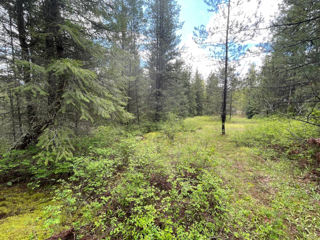 For sale Lot 1 LANGILL ROAD, Krestova, British Columbia V0G1H0