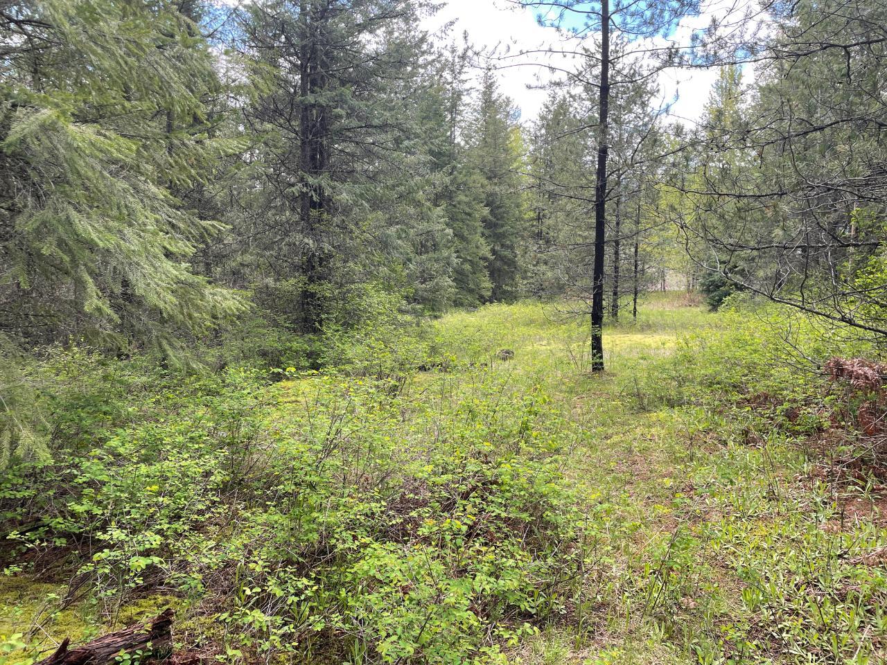For sale Lot 1 LANGILL ROAD, Krestova, British Columbia V0G1H0