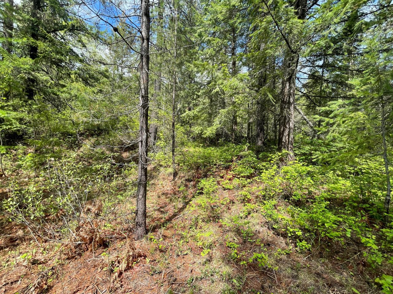 For sale Lot 1 LANGILL ROAD, Krestova, British Columbia V0G1H0