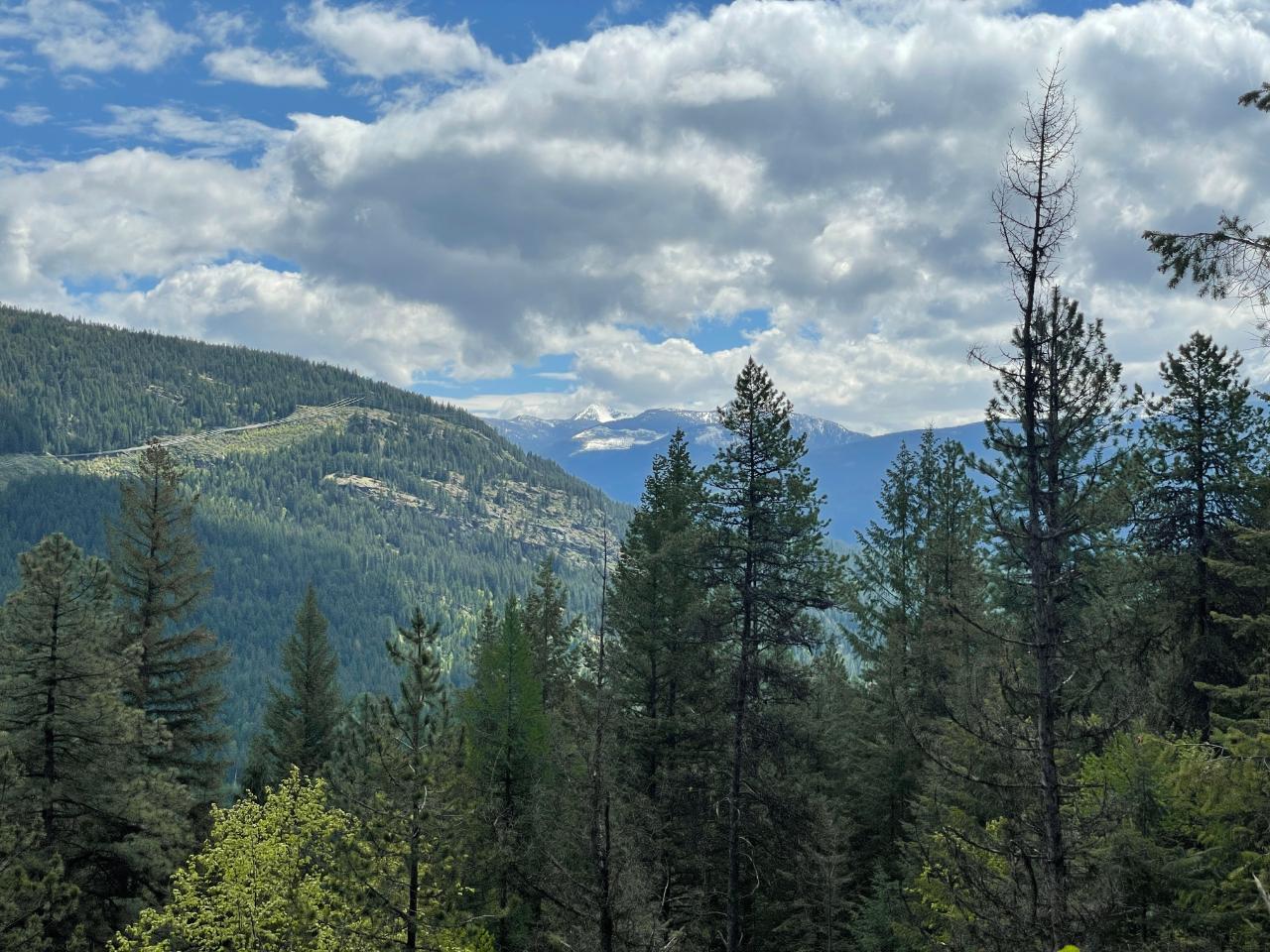 For sale Lot 1 LANGILL ROAD, Krestova, British Columbia V0G1H0