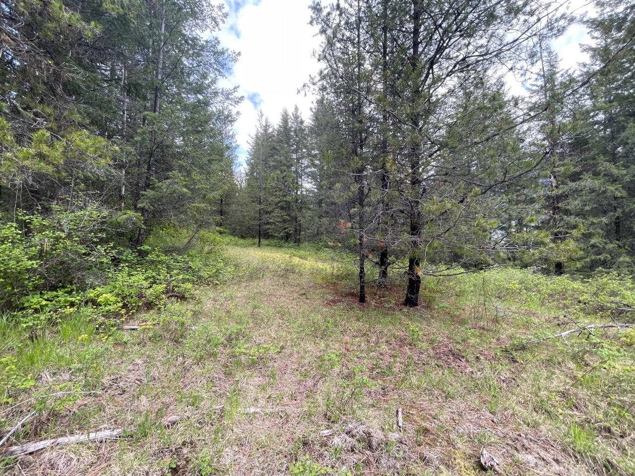 For sale Lot 1 LANGILL ROAD, Krestova, British Columbia V0G1H0