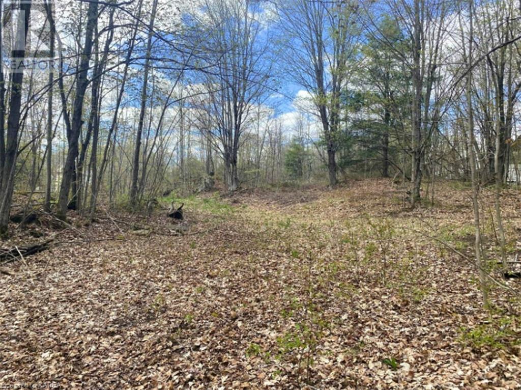 For sale 10914 ROAD 38, Parham, Ontario K0H2K0 40560357 REALTOR.ca