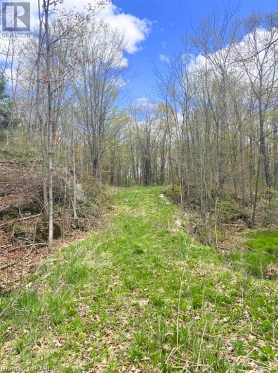 For sale 10914 ROAD 38, Parham, Ontario K0H2K0 40560357 REALTOR.ca