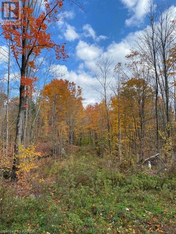 For sale 10914 ROAD 38, Parham, Ontario K0H2K0 40560357 REALTOR.ca