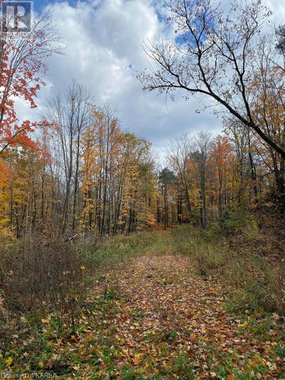 For sale 10914 ROAD 38, Parham, Ontario K0H2K0 40560357 REALTOR.ca