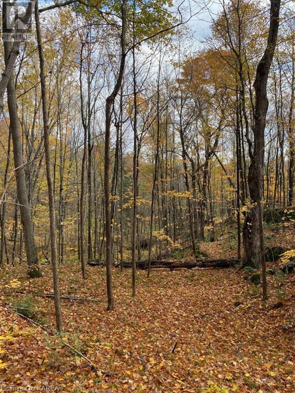 For sale 10914 ROAD 38, Parham, Ontario K0H2K0 40560357 REALTOR.ca