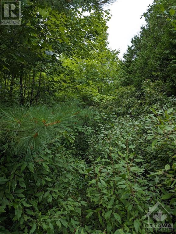 For sale 99 MULVAUGH ROAD, Frankville, Ontario K0E1H0 1377379