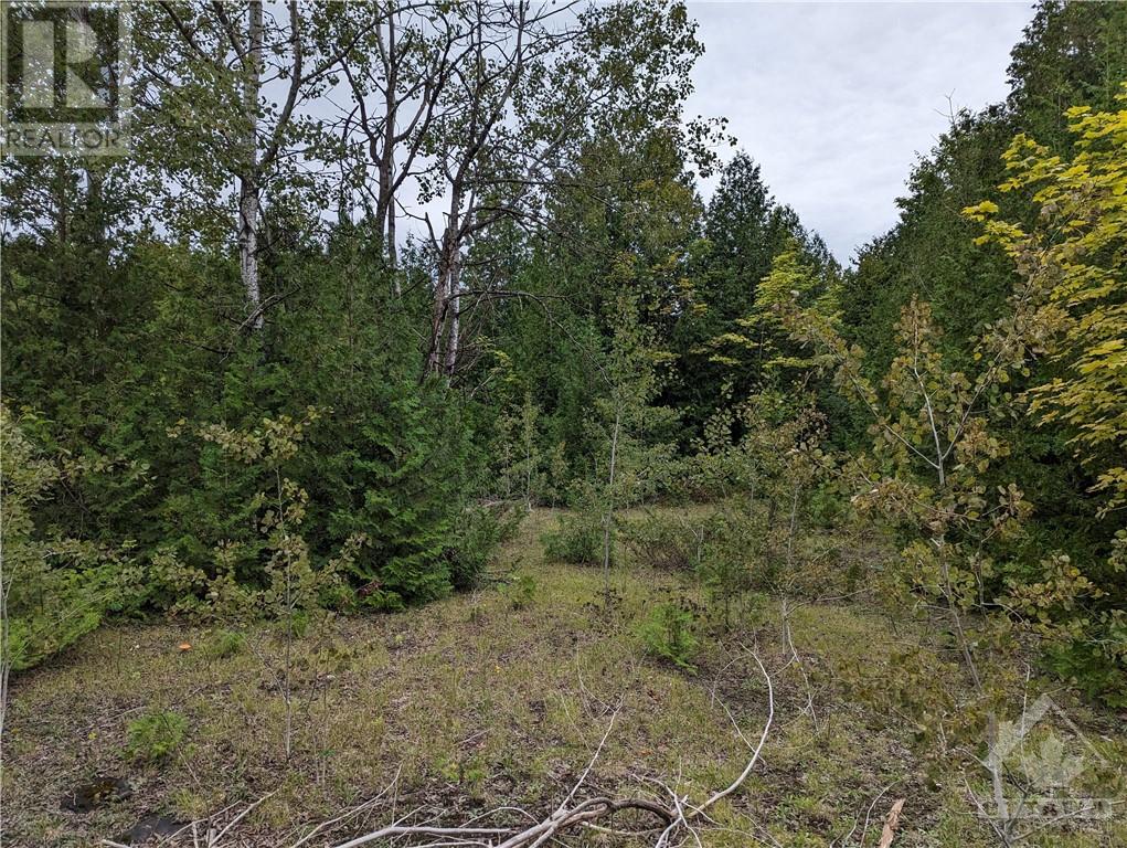 For sale 99 MULVAUGH ROAD, Frankville, Ontario K0E1H0 1377379