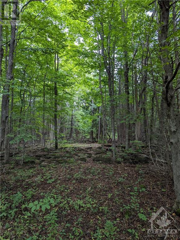 For sale 99 MULVAUGH ROAD, Frankville, Ontario K0E1H0 1377379