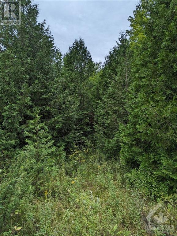 For sale 99 MULVAUGH ROAD, Frankville, Ontario K0E1H0 1377379