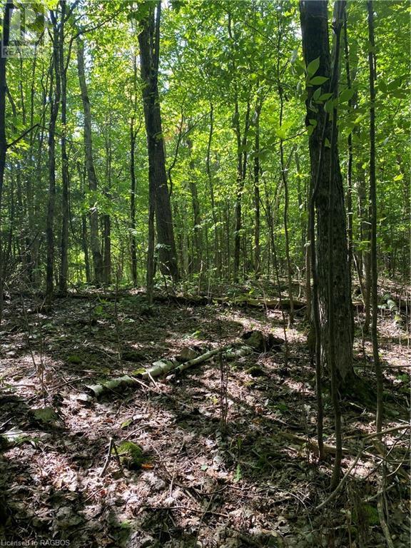 For sale PT LT 3 RANGE GREY ROAD 1, Bluffs, Ontario