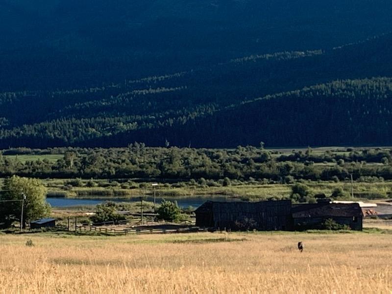 For sale 2755 HIGHWAY 95, Brisco, British Columbia V0A1B0 2475672