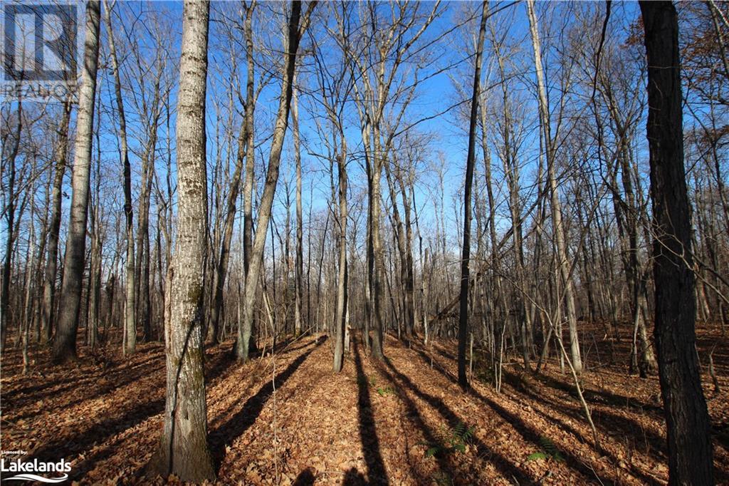 For sale 0 LIMBERLOST POINT Road, Restoule, Ontario P0H2R0 40561690 REALTOR.ca