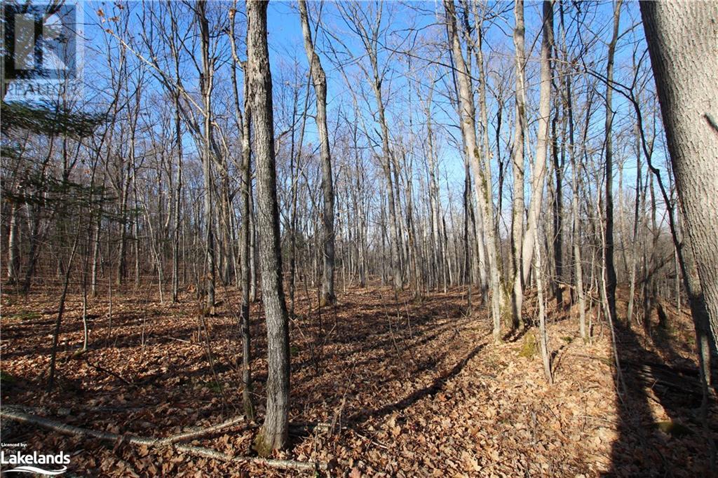 For sale 0 LIMBERLOST POINT Road, Restoule, Ontario P0H2R0 40561690