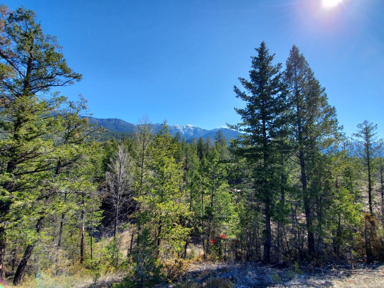 For sale Lot 1 KOOTENAY RD NO 3 ROAD, Windermere, British Columbia