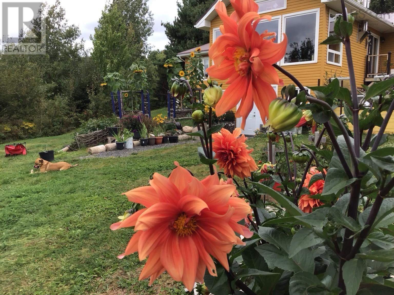 For sale 914 Three Brooks Road, Central Caribou, Nova Scotia B0K1H0