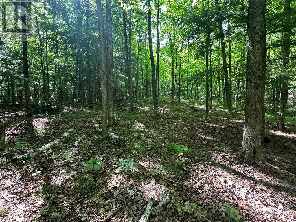 For sale CALABOGIE ROAD, Renfrew, Ontario K7V3Z4 1383781 REALTOR.ca