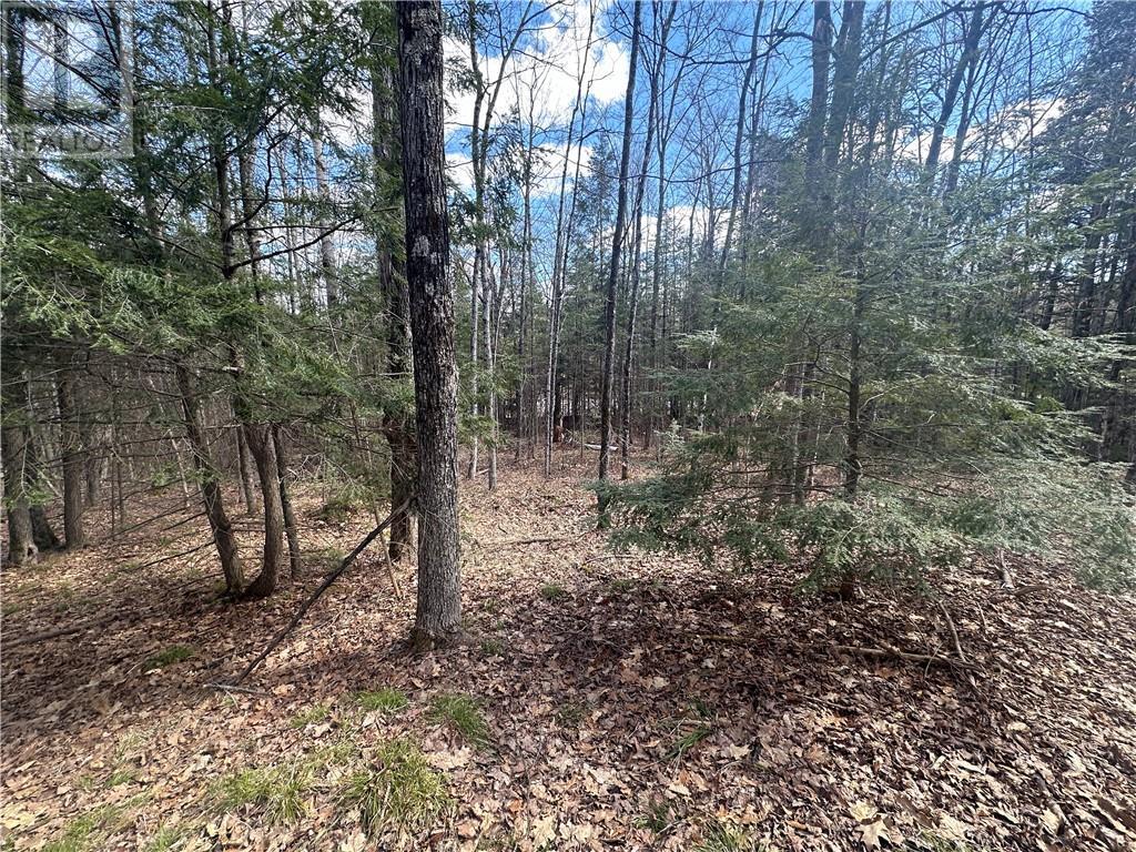 For sale CALABOGIE ROAD, Renfrew, Ontario K7V3Z4 1383781 REALTOR.ca