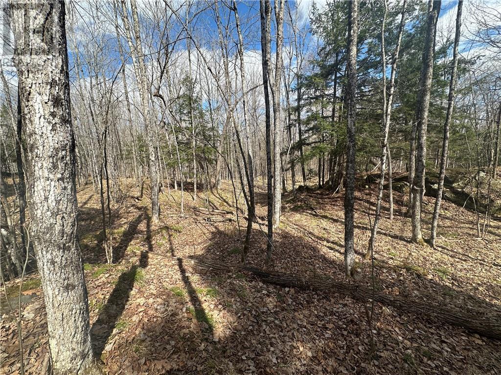 For sale CALABOGIE ROAD, Renfrew, Ontario K7V3Z4 1383781 REALTOR.ca