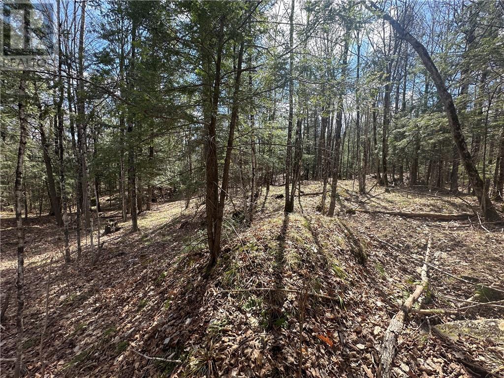 For sale CALABOGIE ROAD, Renfrew, Ontario K7V3Z4 1383781 REALTOR.ca