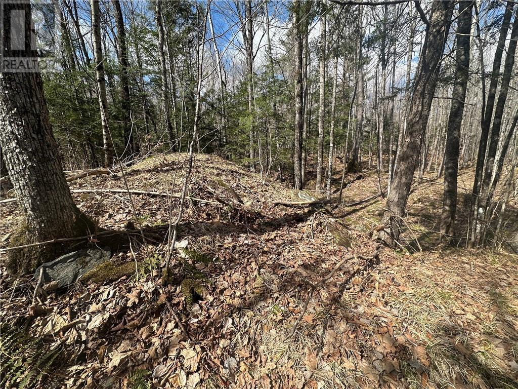 For sale CALABOGIE ROAD, Renfrew, Ontario K7V3Z4 1383781 REALTOR.ca