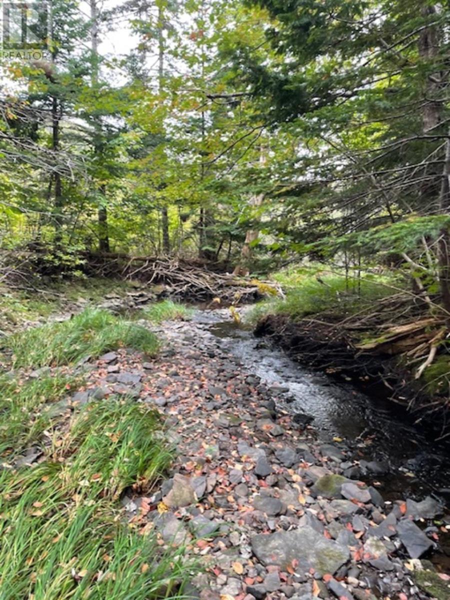 For sale Ainslie Glen Road, Ainslie Glen, Nova Scotia B0E1M0