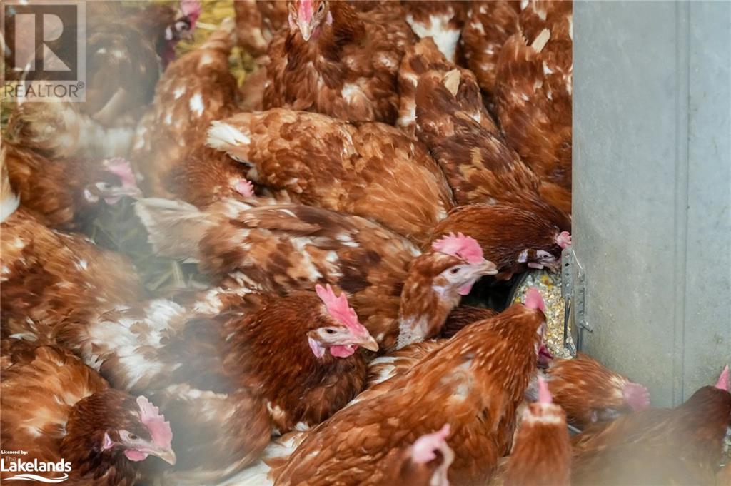 For sale 828482 MULMUR NOTTAWASAGA TOWN LINE Line, Mulmur, Ontario