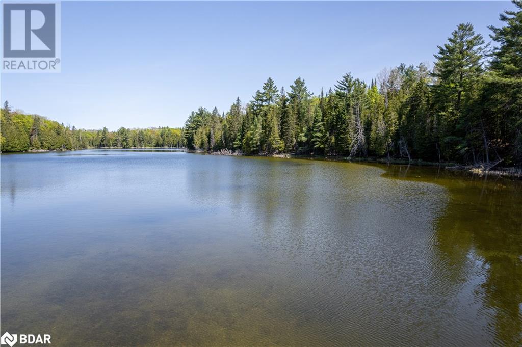 For sale 0 JOHNSON Road, Apsley, Ontario K0L1A0 40564678 REALTOR.ca