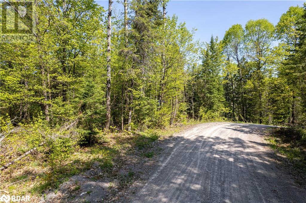 For sale 0 JOHNSON Road, Apsley, Ontario K0L1A0 40564678 REALTOR.ca