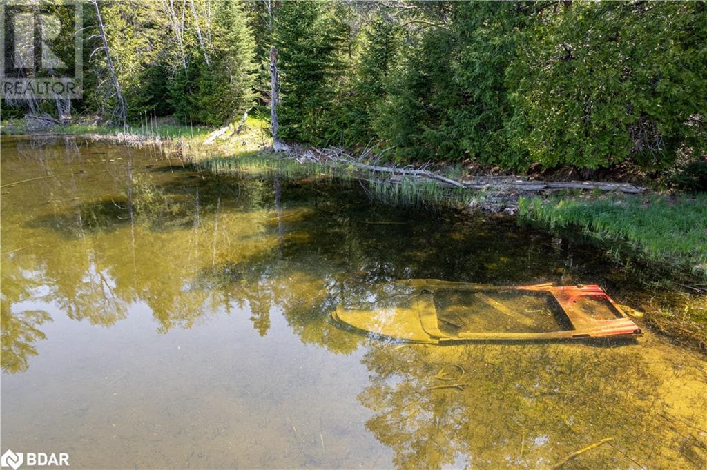 For sale 0 JOHNSON Road, Apsley, Ontario K0L1A0 40564678 REALTOR.ca