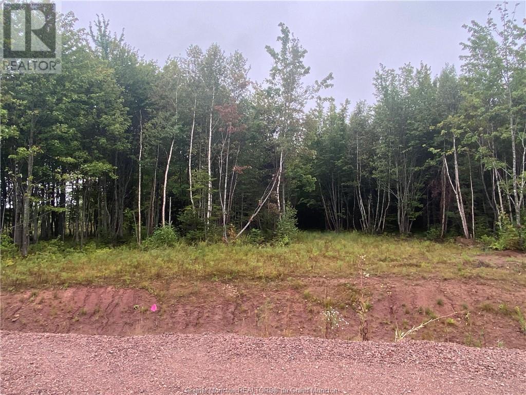 For sale Lot Roseau, Lakeburn, New Brunswick E1H0M2 M158281 REALTOR.ca
