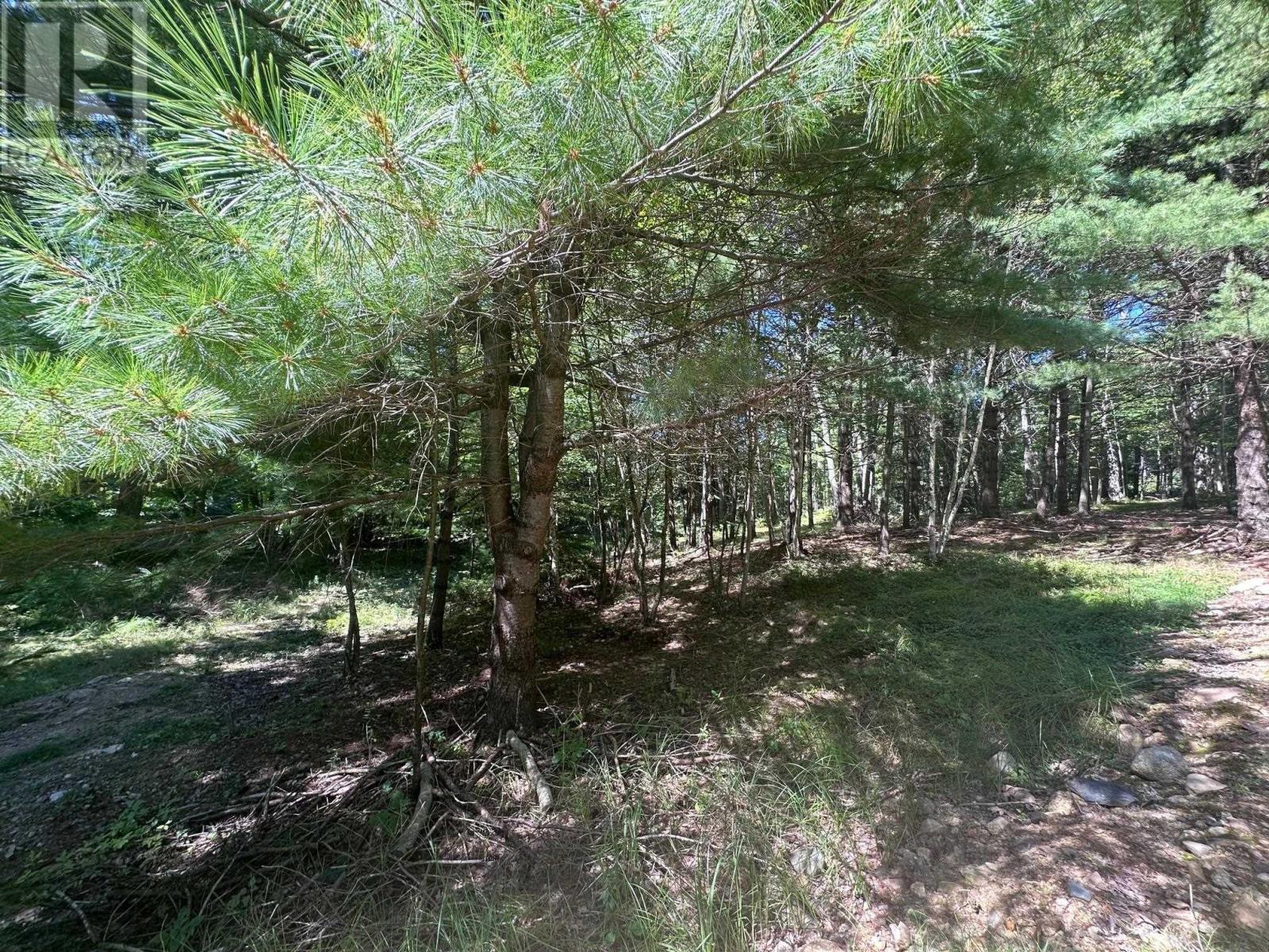 For sale Lot Highway 10, PID60711322, Cookville, Nova Scotia B4V7R3 202405587 REALTOR.ca