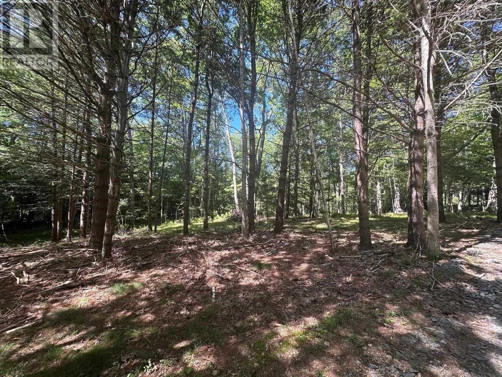 For sale Lot Highway 10, PID60711322, Cookville, Nova Scotia B4V7R3 202405587 REALTOR.ca