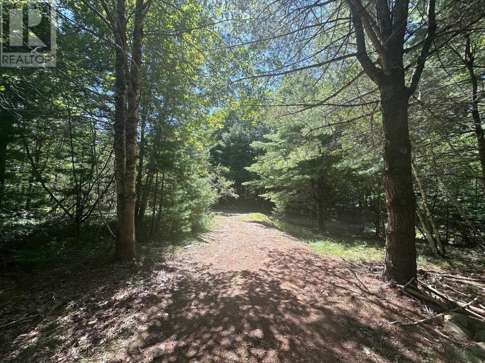 For sale Lot Highway 10, PID60711322, Cookville, Nova Scotia B4V7R3 202405587 REALTOR.ca