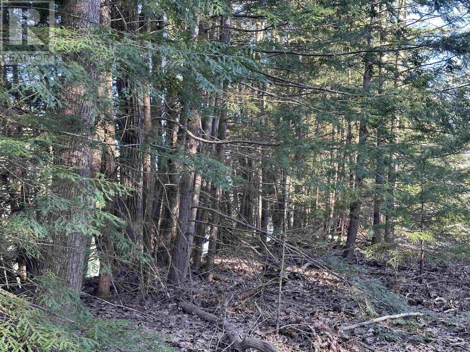 For sale Lot Highway 10, PID60711322, Cookville, Nova Scotia B4V7R3 202405587 REALTOR.ca