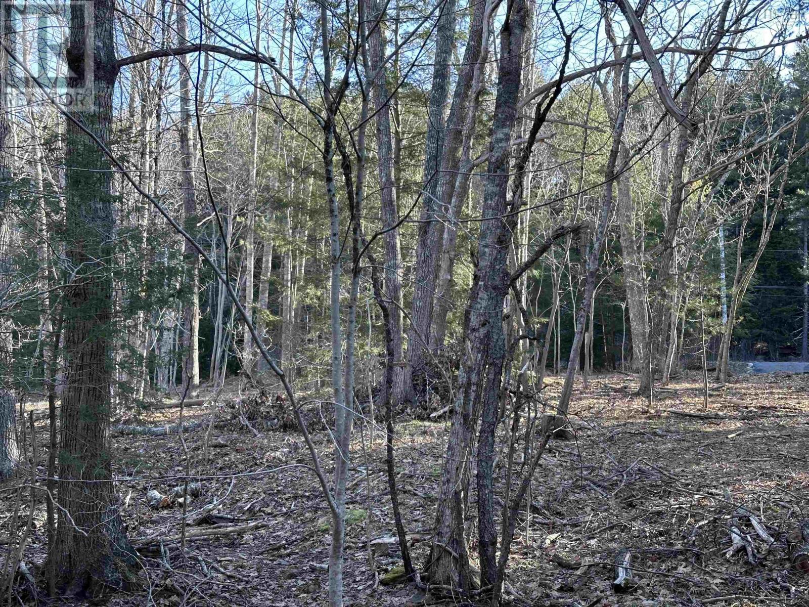 For sale Lot Highway 10, PID60711322, Cookville, Nova Scotia B4V7R3 202405587 REALTOR.ca