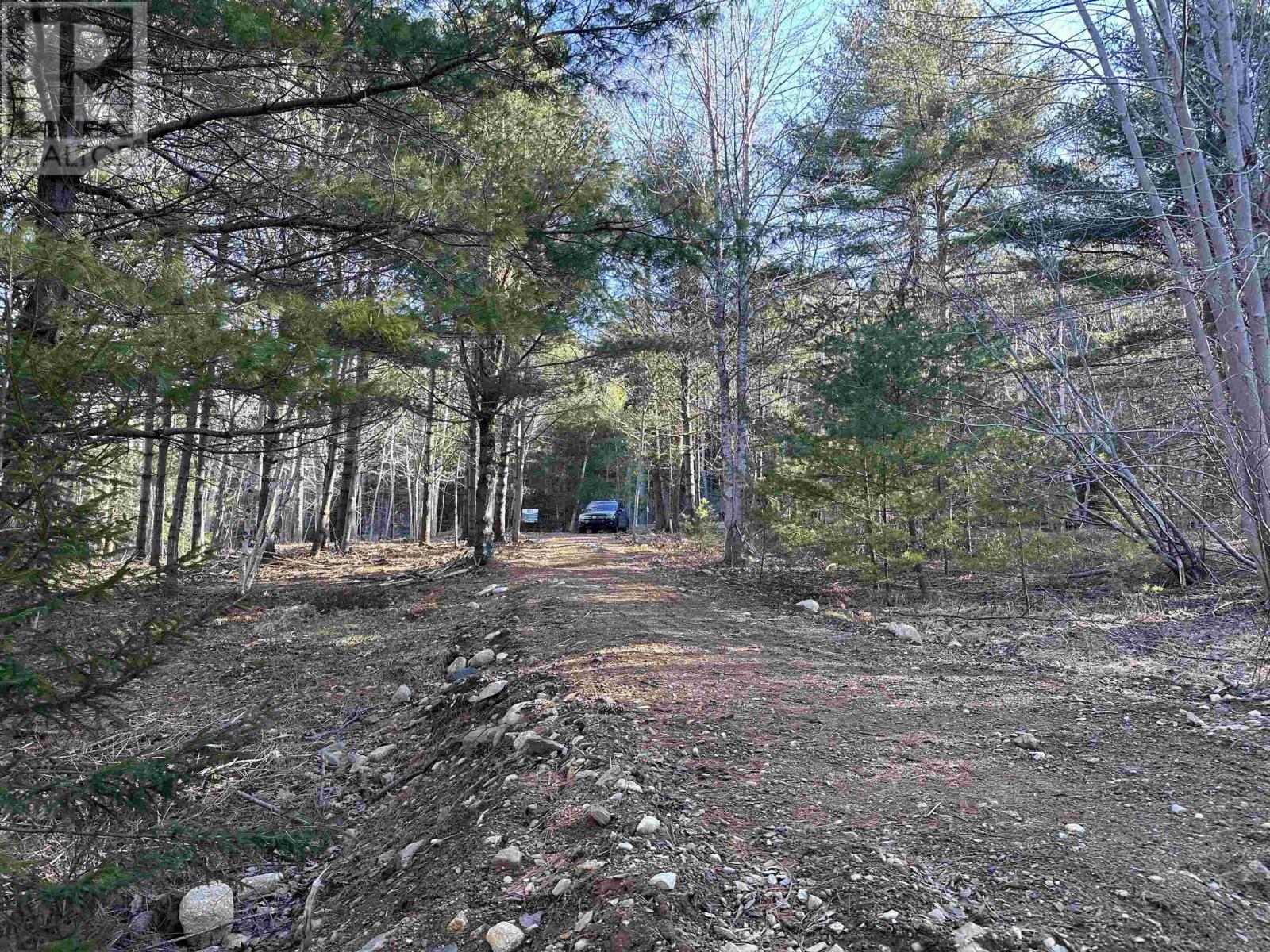 For sale Lot Highway 10, PID60711322, Cookville, Nova Scotia B4V7R3 202405587 REALTOR.ca