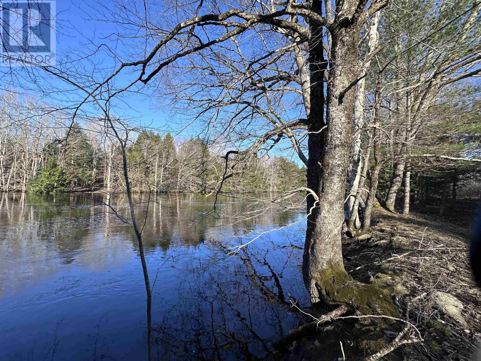 For sale Lot Highway 10, PID60711322, Cookville, Nova Scotia B4V7R3 202405587 REALTOR.ca